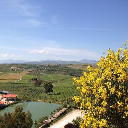 Ciuci'S Manor Villa Aragona Buitenkant foto