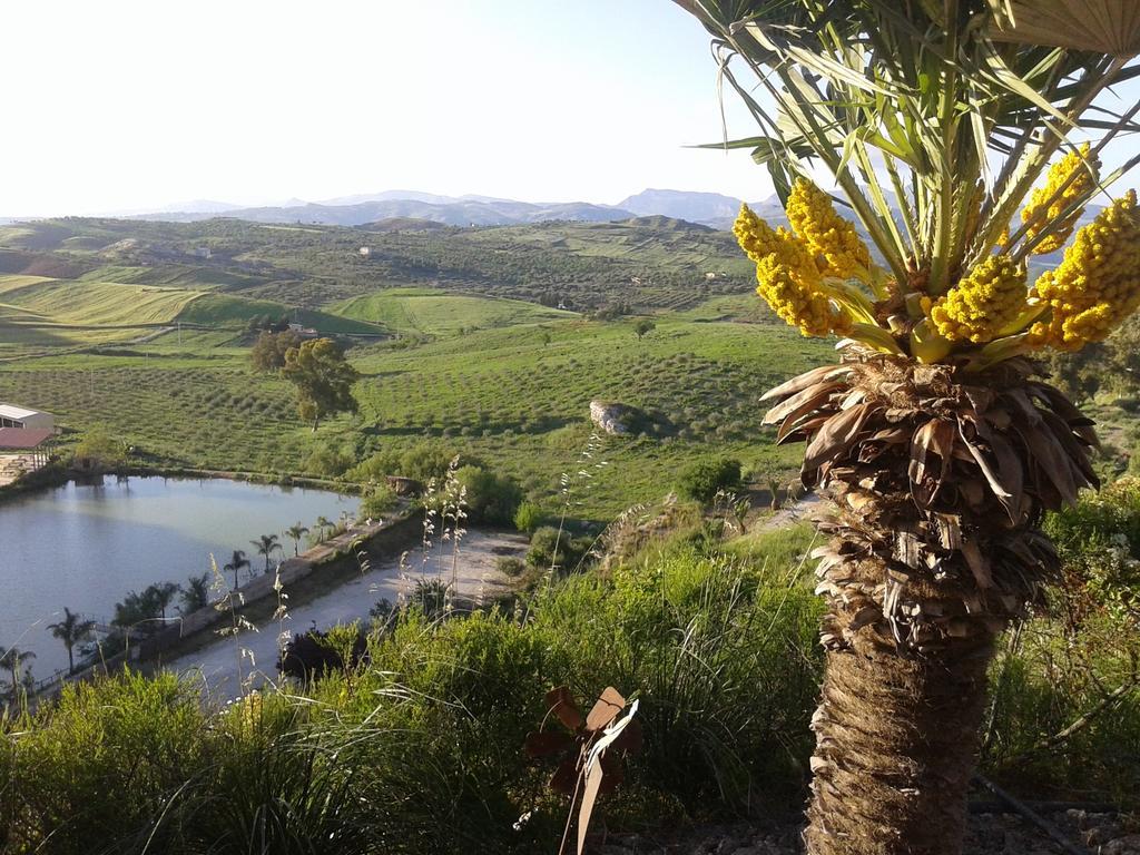 Ciuci'S Manor Villa Aragona Buitenkant foto